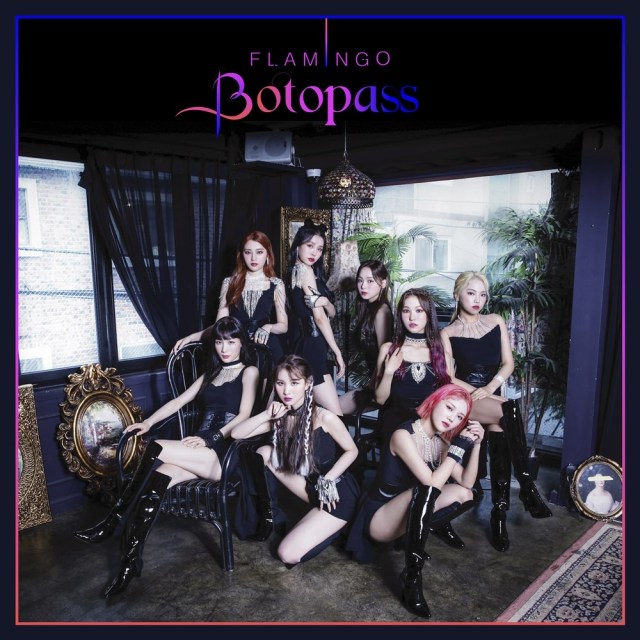 BOTOPASS - Single Album Flamingo