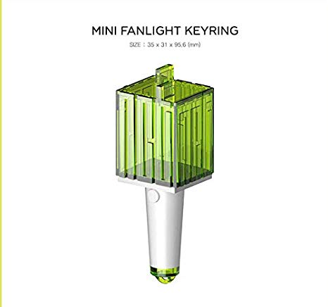 NCT Mini Fanlight Keyring